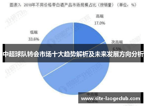 中超球队转会市场十大趋势解析及未来发展方向分析