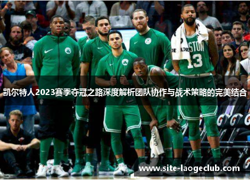 凯尔特人2023赛季夺冠之路深度解析团队协作与战术策略的完美结合