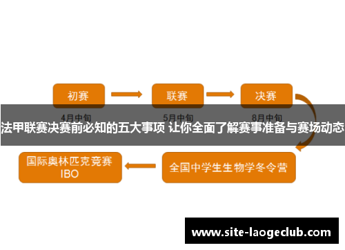 法甲联赛决赛前必知的五大事项 让你全面了解赛事准备与赛场动态 法甲联赛决赛前必知的五大事项 让你全面了解赛事准备与赛场动态