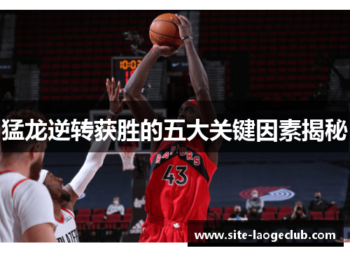 猛龙逆转获胜的五大关键因素揭秘
