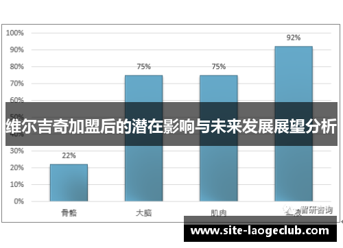 维尔吉奇加盟后的潜在影响与未来发展展望分析