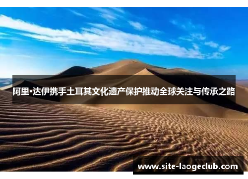阿里·达伊携手土耳其文化遗产保护推动全球关注与传承之路 阿里·达伊携手土耳其文化遗产保护推动全球关注与传承之路