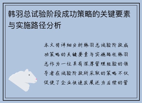 韩羽总试验阶段成功策略的关键要素与实施路径分析